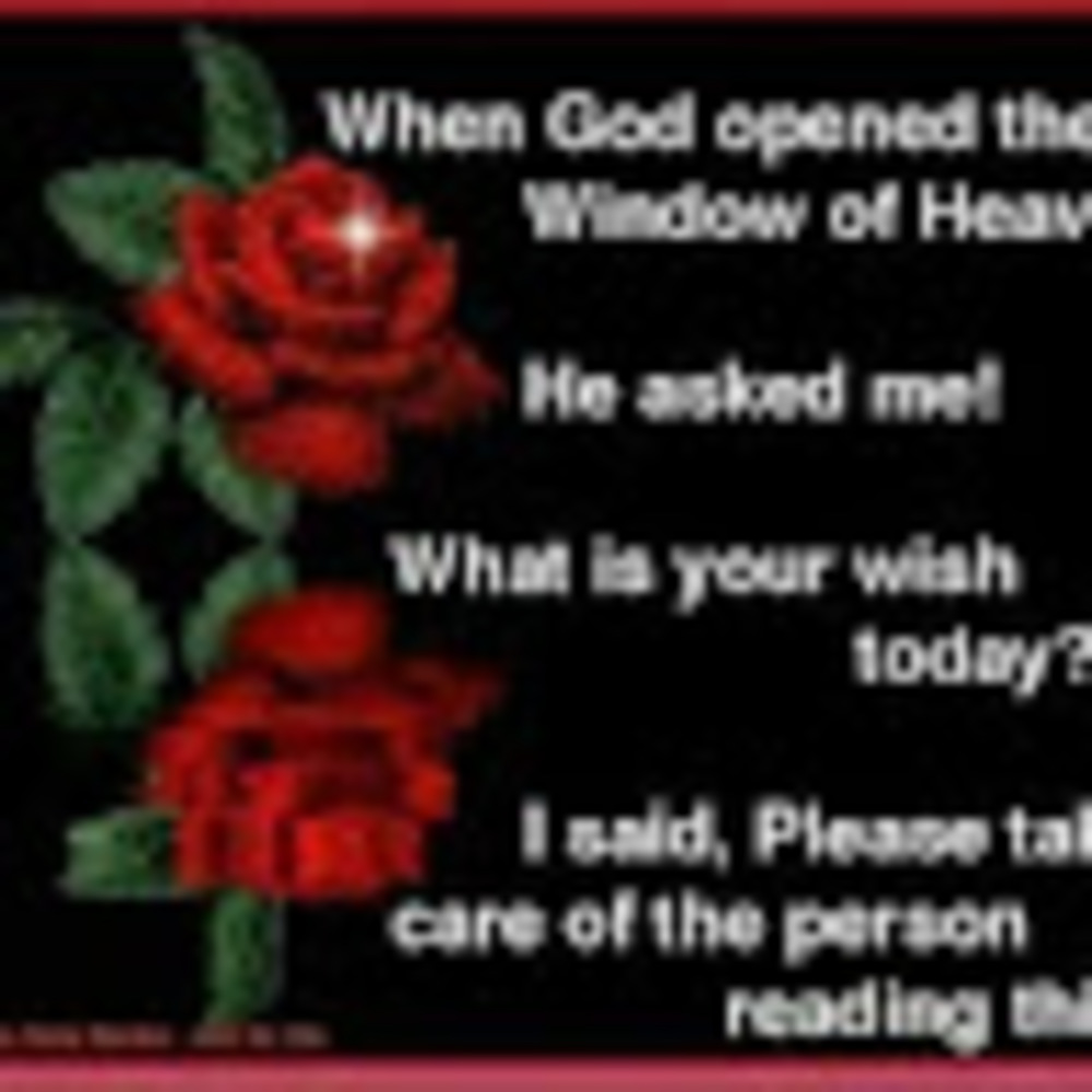 Meet your Posher, Victoria